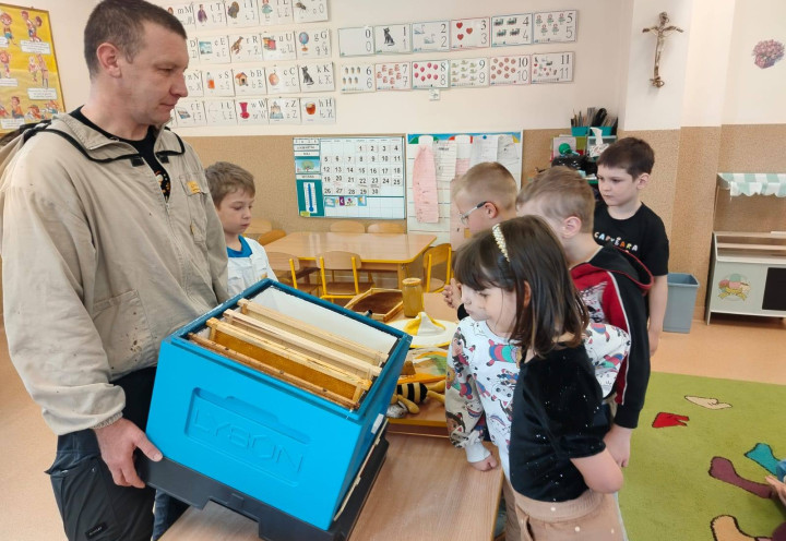 Światowy Dzień Pszczół
