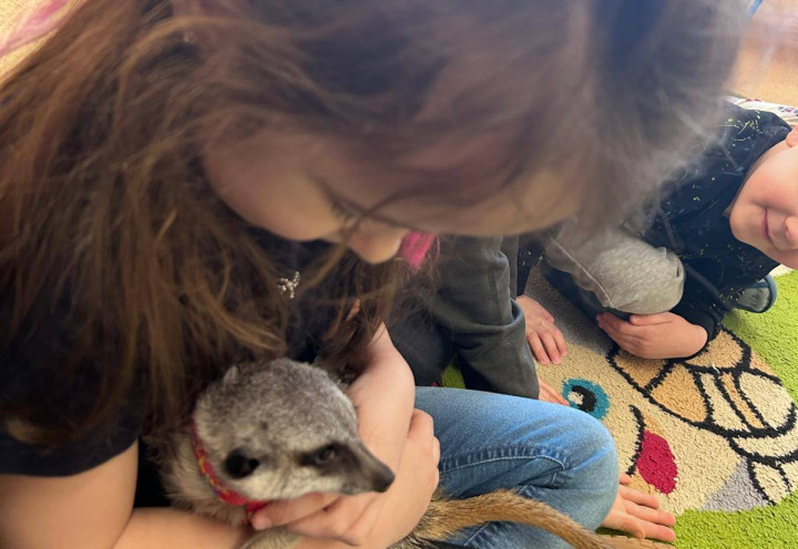 Spotkanie z Surykatką